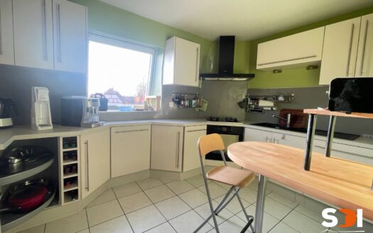 PLOBSHEIM – T4 / 84M² AVEC TERRASSE + GGE + CAVE
