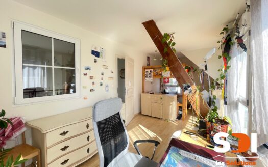 PLOBSHEIM – MAISON 160M² SUR 4,59 ARES AVEC TERRASSES + JARDIN + GGES