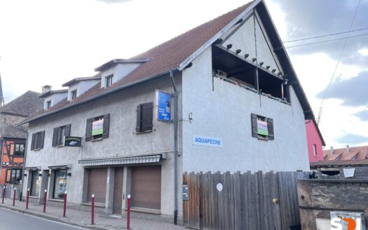 PLOBSHEIM – A LOUER T3 / 97M² AVEC PKG