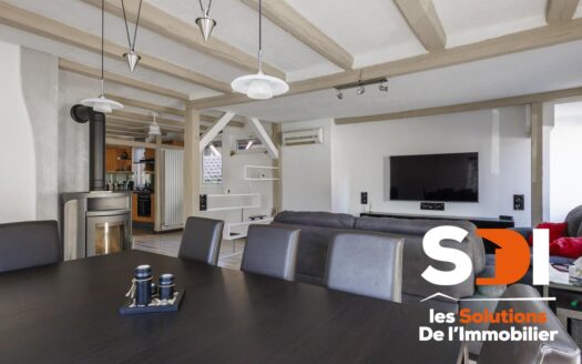 PLOBSHEIM – MAISON 160M² SUR 6,02 ARES AVEC DEPENDANCE – GGES – COUR – JARDIN – TERRASSE