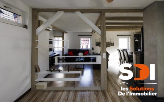 PLOBSHEIM – MAISON 160M² SUR 6,02 ARES AVEC DEPENDANCE – GGES – COUR – JARDIN – TERRASSE