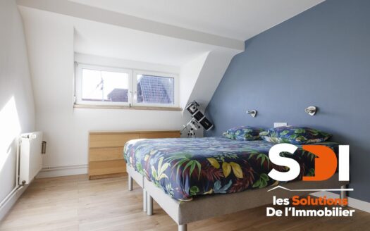 PLOBSHEIM – MAISON 160M² SUR 6,02 ARES AVEC DEPENDANCE – GGES – COUR – JARDIN – TERRASSE