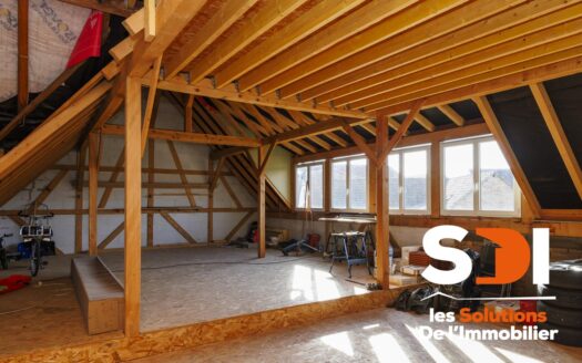 PLOBSHEIM – MAISON 160M² SUR 6,02 ARES AVEC DEPENDANCE – GGES – COUR – JARDIN – TERRASSE