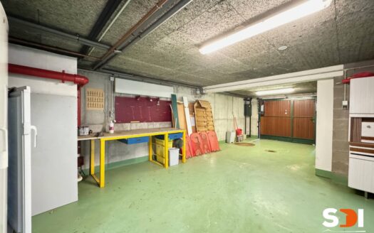 NIEDERHAUSBERGEN – MAISON 137M² SUR 5,46 ARES – 6P/4CH AVEC S/S COMPLET ET TERRASSE