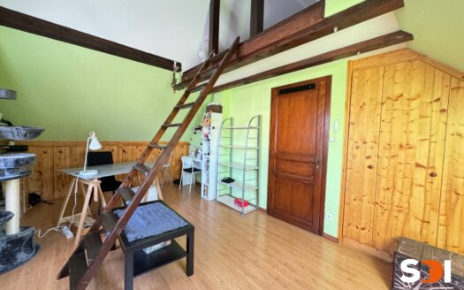 LINGOLSHEIM – MAISON 198M² SUR 4,02 ARES – 8P/6CH AVEC JARDIN ET TERRASSE