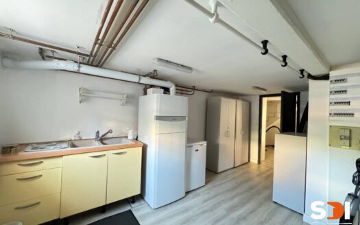 LINGOLSHEIM – MAISON 198M² SUR 4,02 ARES – 8P/6CH AVEC JARDIN ET TERRASSE