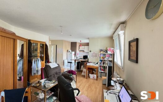 STRASBOURG – GANZAU STUDIO 34M² + CAVE