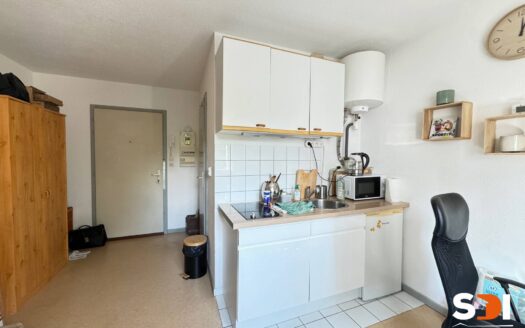 STRASBOURG – NEUDORF STUDIO MEUBLE 18M²