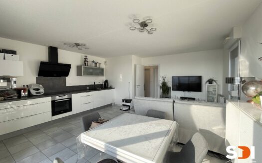 GEUDERTHEIM – ATTIQUE T3 / 60M² AVEC TERRASSE + GGE + PKG