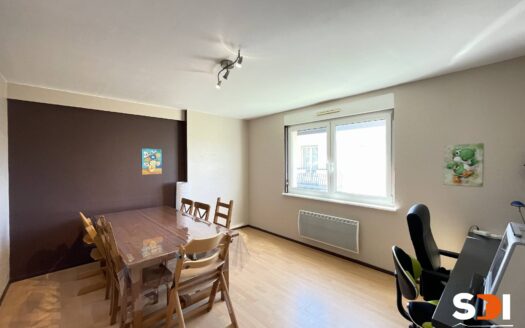 PLOBSHEIM – IMMEUBLE 185M² AVEC 2 LOGTS – S/S COMPLET SUR 5,42 ARES