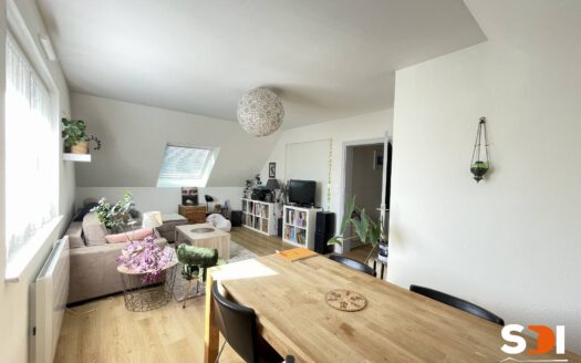 PLOBSHEIM – IMMEUBLE 185M² AVEC 2 LOGTS – S/S COMPLET SUR 5,42 ARES