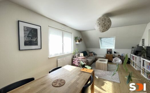 PLOBSHEIM – IMMEUBLE 185M² AVEC 2 LOGTS – S/S COMPLET SUR 5,42 ARES