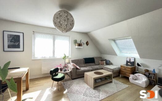 PLOBSHEIM – IMMEUBLE 185M² AVEC 2 LOGTS – S/S COMPLET SUR 5,42 ARES