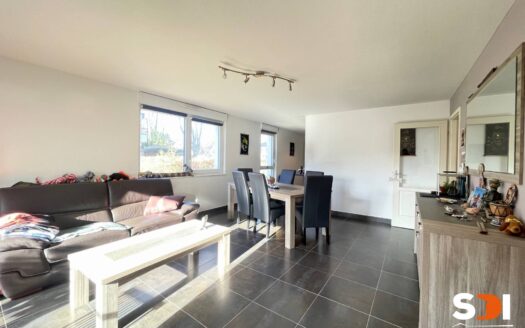 ESCHAU – RDJ T3/69M² AVEC TERRASSE + JARDIN + 2 GGES + CAVE