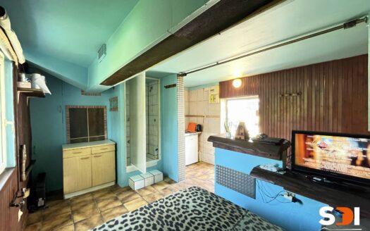 OBENHEIM – STUDIO 16M² AVEC PKG ET CAVE
