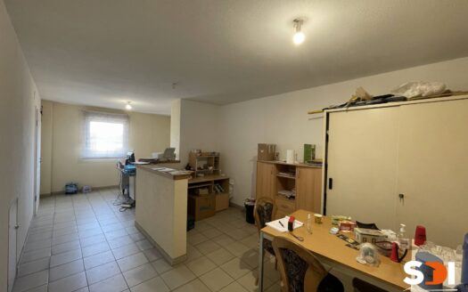 BENFELD – LOCAUX MIXTES PRO + LOGEMENT