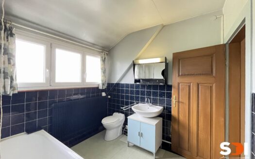 BOOFZHEIM – MAISON 130M² SUR 11,85 ARES AVEC JARDIN ARBORE + TERRASSE + DEPENDANCE + 4 GGES